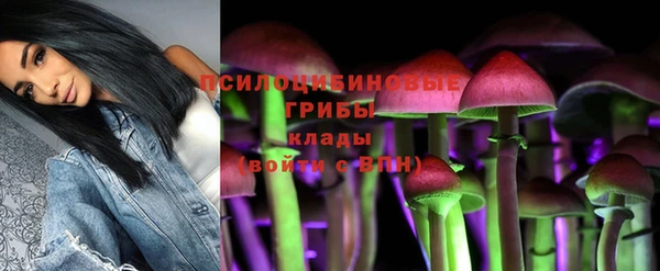 стафф Армянск