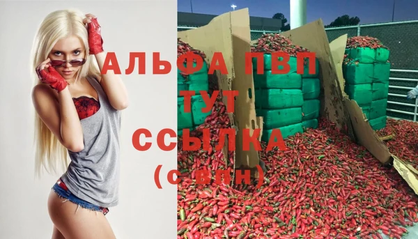 ешки Аркадак