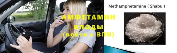ешки Аркадак