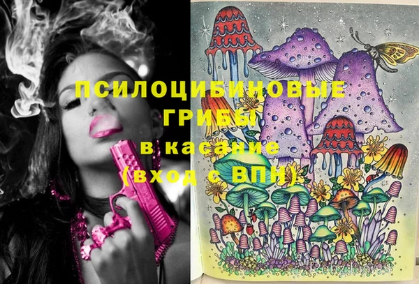 стафф Армянск