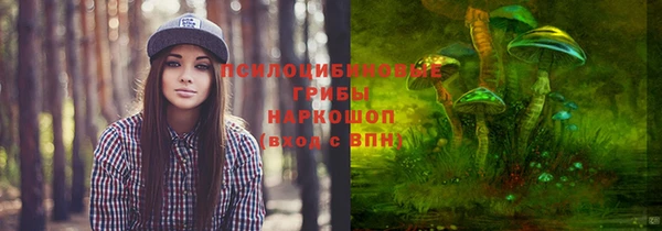 спайс Арсеньев