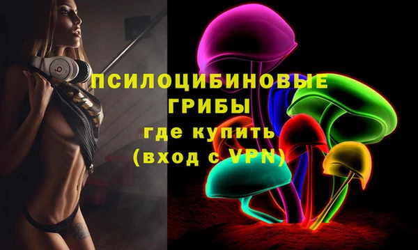 ешки Аркадак