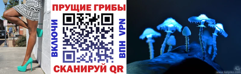 Псилоцибиновые грибы MAGIC MUSHROOMS  MEGA ССЫЛКА  Тетюши 
